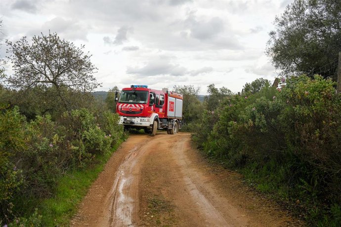 Imágenes del dispositivo de la búsqueda de los desparecidos en Constantina. 