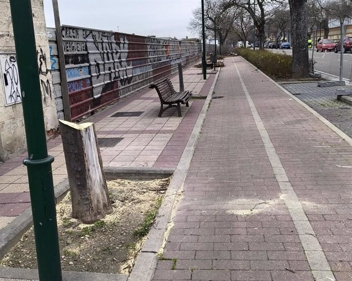 VTLP denuncia la tala masiva de árboles en la ciudad, con un total de 200 árboles eliminados en distintos barrios.