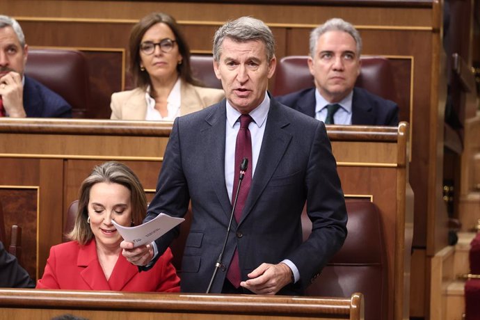 El president del PP, Alberto Núñez Feijóo