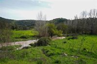 Constantina (Sevilla) decreta dos días de luto por la muerte del matrimonio en el arroyo de Guadalbácar