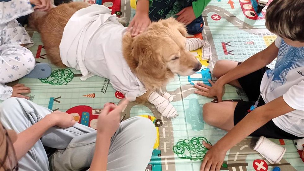 Lenny participa en las intervenciones asistidas con animales en Pediatría del Hospital Juan Ramón Jiménez de Huelva.