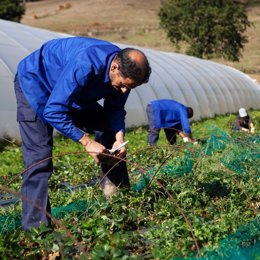 Proyecto de Cáritas apoyado por EDP Energía Solidaria en una de sus diez ediciones
