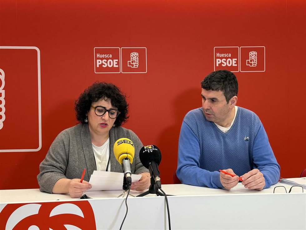 La viceportavoz del PSOE en la DPH, Gema Betorz, y el diputado provincial Fernando Sánchez.