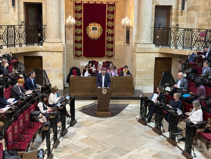 El diputado de Infraestructuras y Desarrollo Territorial de Bizkaia, Carlos Alzaga, en el pleno de las Juntas Generales de Bizkaia