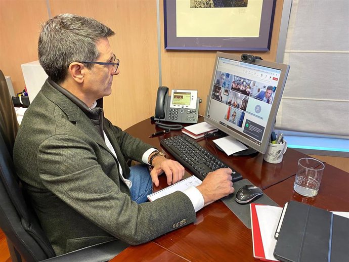 Imagen de la videoconferencia del delegado del Gobierno de España en Andalucía, Pedro Fernández, por el comité asesor del Plan de Emergencia.