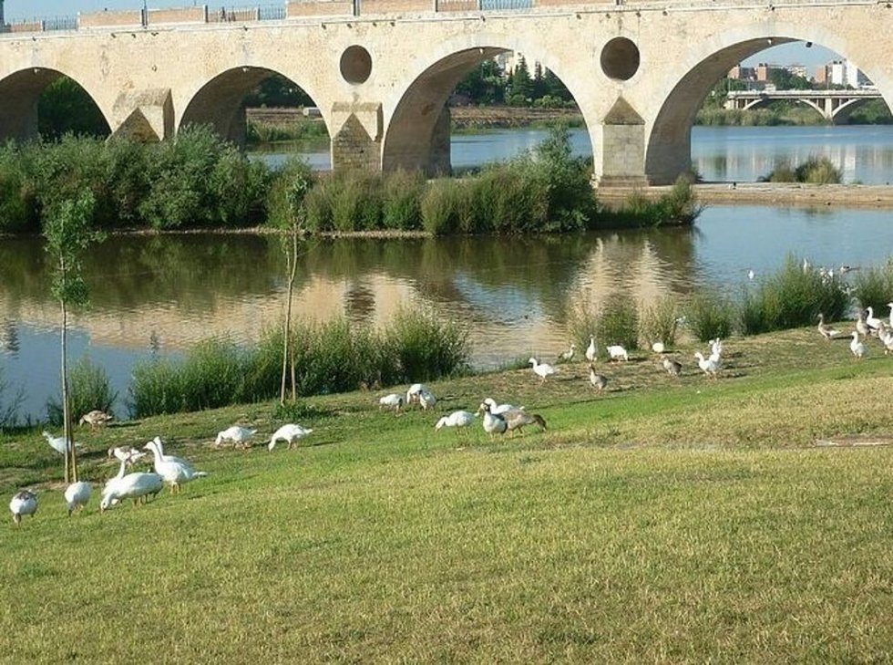 Río Guadiana en Badajoz