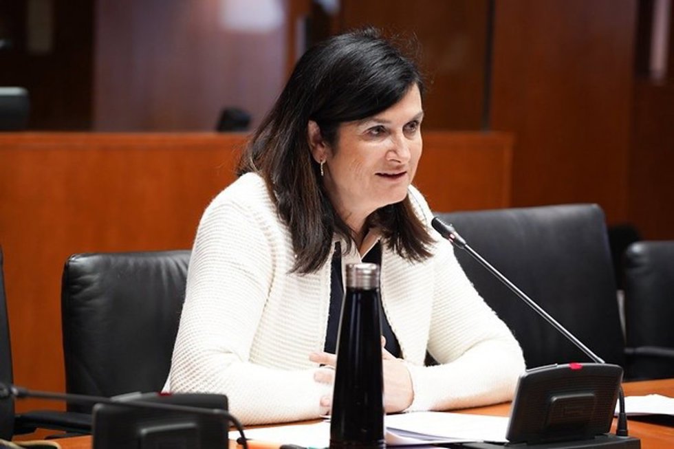 La diputada de CHA en las Cortes de Aragón, Isabel Lasobras.