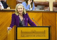 PSOE-A afea a la Junta la "caída en picado" de la valoración de la sanidad pública y Salud admite "cierto descontento"