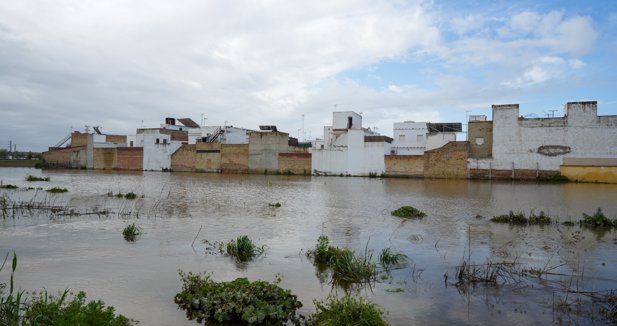 Es Andalucía - Sevilla