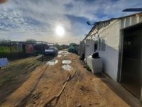 Cáritas Diocesana de Córdoba ayuda a las familias rumanas desalojadas del asentamiento de Pedroche