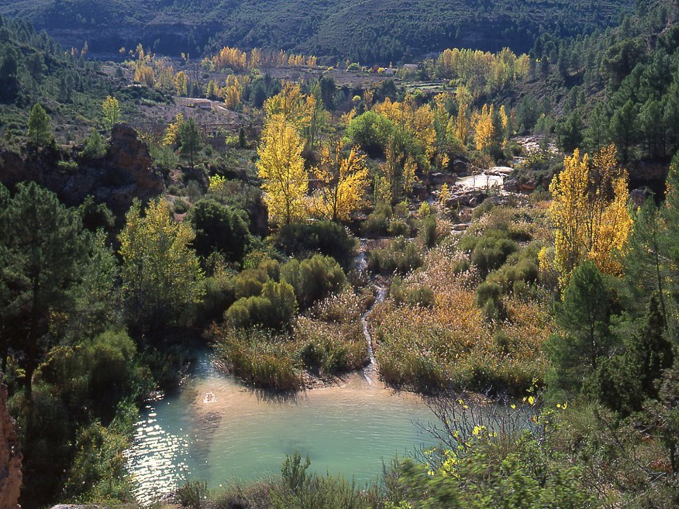 Archivo - Reserva del valle del Cabriel.