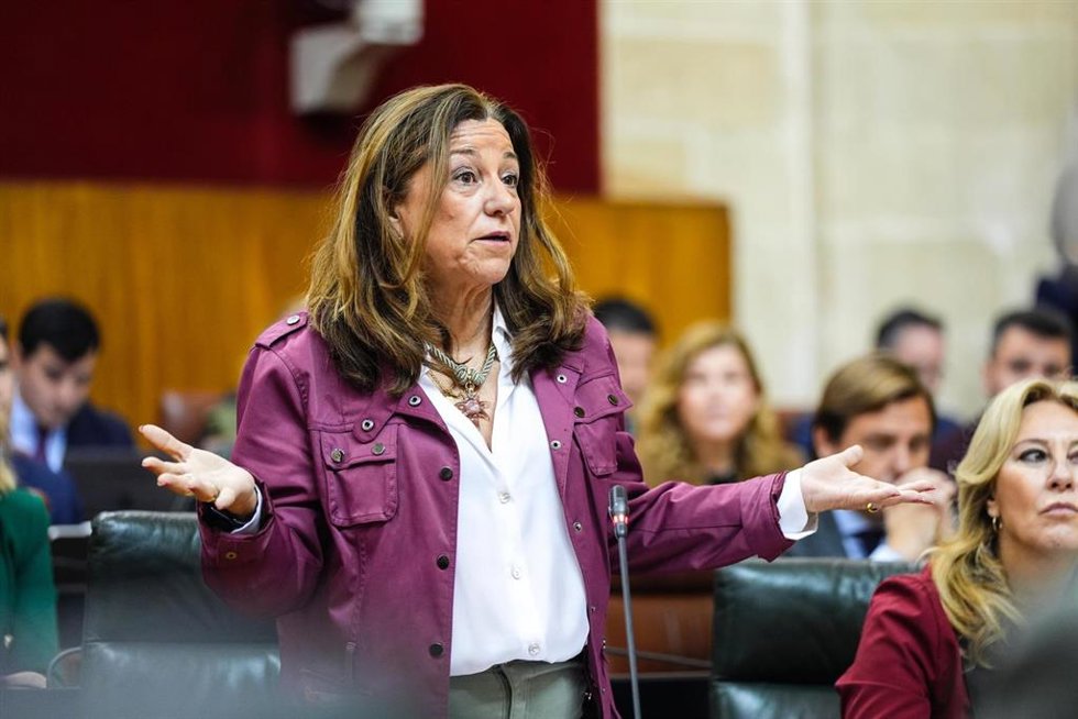 La consejera de Desarrollo Educativo y Formación Profesional, María del Carmen del Castillo, en un pleno parlamentario. 