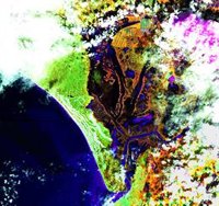 Una imagen satelital muestra "una inundación generalizada" de la marisma de Doñana