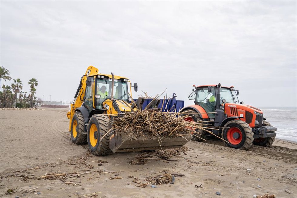 Limpieza de cañas y otros residuos en las playas de Estepona.