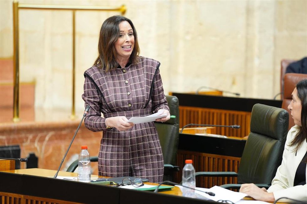 Imagen de la consejera de Fomento, Articulación del Territorio y Vivienda, Rocío Díaz, en el Pleno del Parlamento andaluz,
