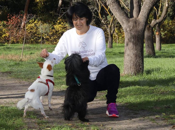 Consejos para que perros y gatos en primavera