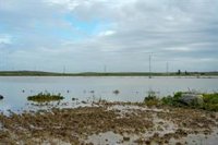 Espera (Cádiz) avisa de una posible subida del cauce del arroyo Salado por el desembalse en Torre del Águila