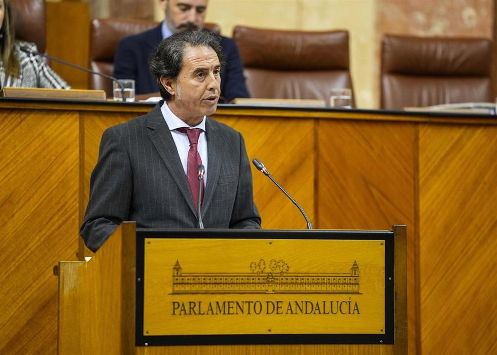 El diputado de Vox en Andalucía Benito Morillo, este jueves en el Pleno del Parlamento en la defensa de la PNL.