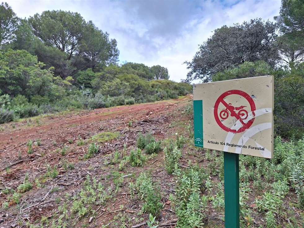 Uno de los caminos del Parque Periurbano de Los Villares por donde circulan aficionados al motocross, a pesar de que está señalizada la prohibición de tal práctica.