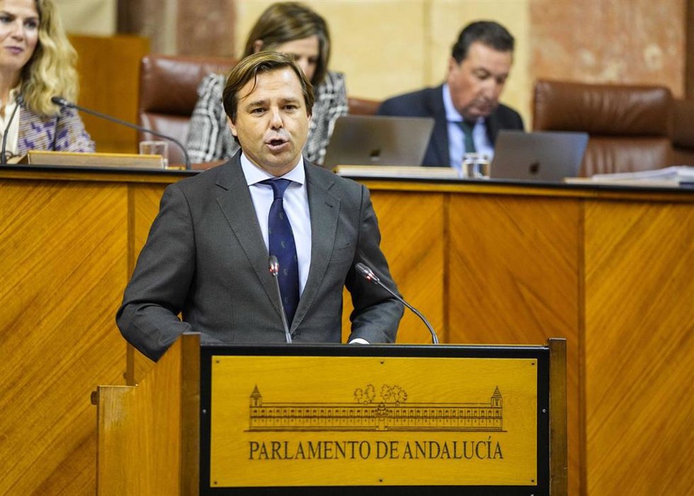 El diputado del Grupo Popular y secretario general del PP-A, Antonio Repullo, este jueves en el Pleno del Parlamento.