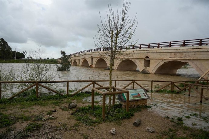 Imágenes de la crecida del río Guadalete en una imagen de archivo.
