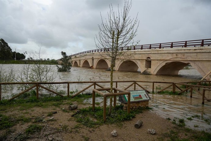 Imagens da inundação do rio Guadalete. Em 13 de fevereiro de 2025 em Jerez de la Frontera, Cádiz (Andaluzia, Espanha) A inundação do rio Guadalete em Jerez de la Frontera (Cádiz) forçou a evacuação preventiva de 200 pessoas nas cidades de Jerez de la Fron