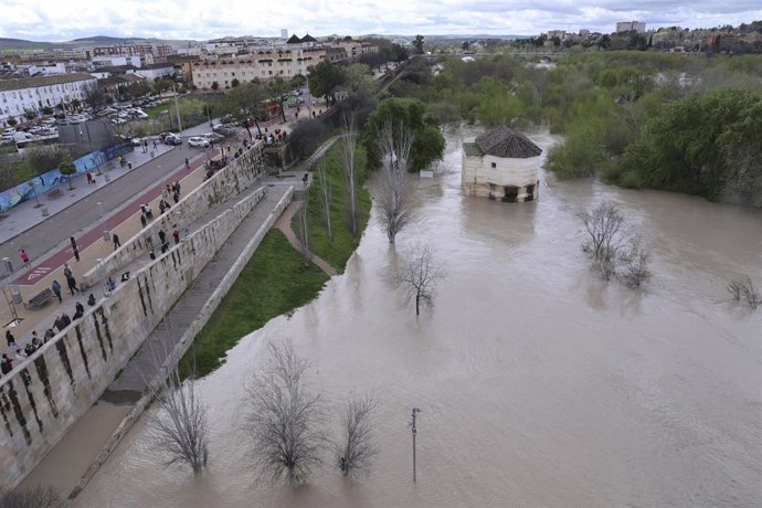 Imágenes de la crecida del Río Guadalquivir a su paso por el puente Romano, a 18 de marzo de 2025 en Córdoba (Andalucía, España).