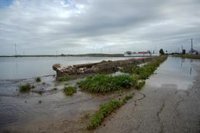 Desalojados 17 vecinos de Carmona y Los Palacios (Sevilla), cortes de carretera y rescates en vehículos por la borrasca