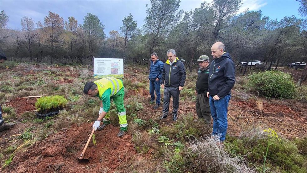 Declaraciones del consejero de Medio Ambiente, Universidades, Investigación y Mar Menor, Juan María Vázquez, sobre las actuaciones de reforestación que se llevan a cabo en el Parque regional de Calblanque