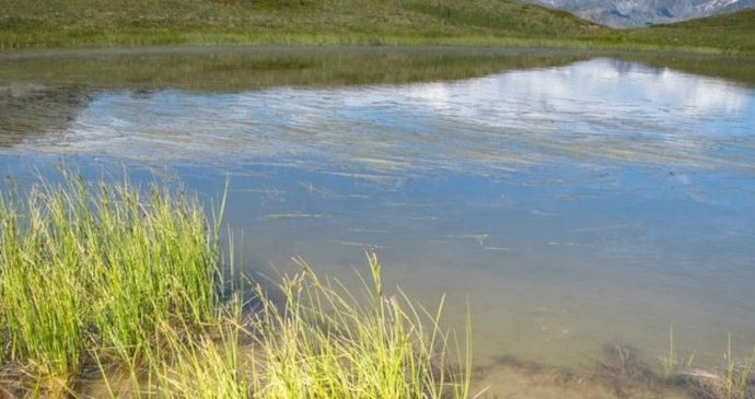 A maior parte do carbono sequestrado na terra é armazenada no solo e na água.