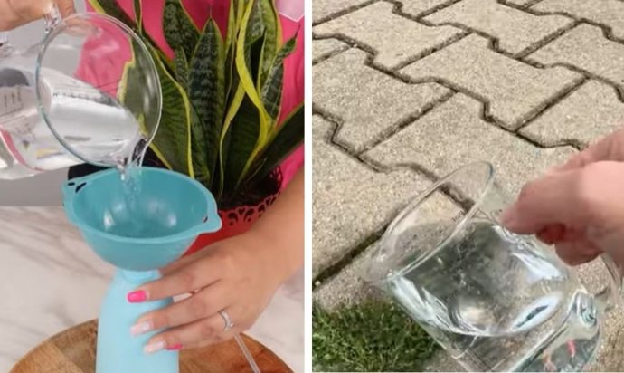 Uma gota desse simples remédio caseiro elimina as ervas daninhas pela raiz - não há mais calçada suja.