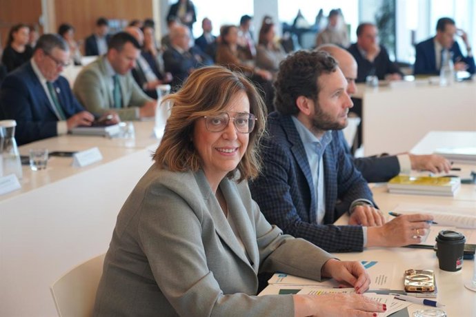 Armisén en la VI Conferencia de Presidentes de Diputaciones.