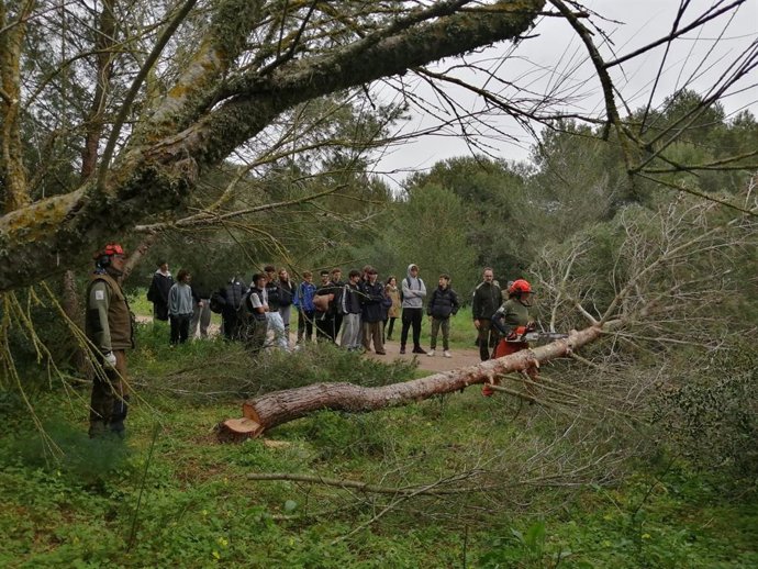 Alumnos del IES Pasqual Calbó i Caldés de Maó asisten a una jornada sobre gestión forestal en la finca de s'Arangí.