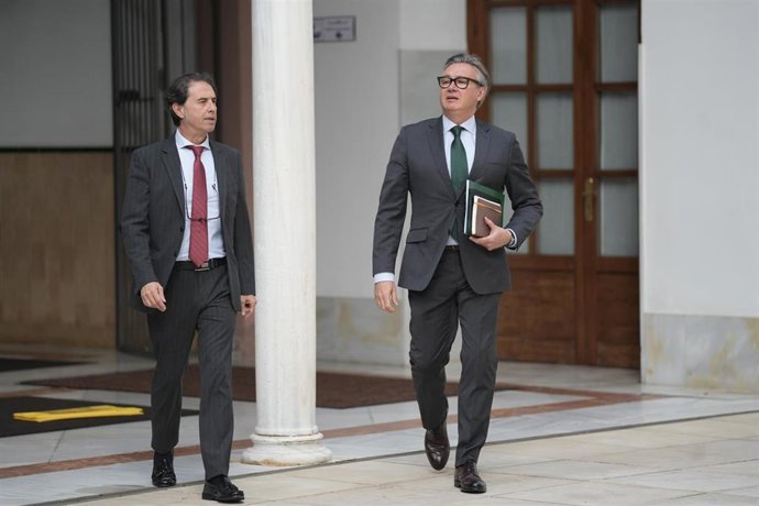 El diputado Benito Morillo y el portavoz del Grupo Vox en Andalucía, Manuel Gavira, en una imagen de archivo en los pasillos del Parlamento.