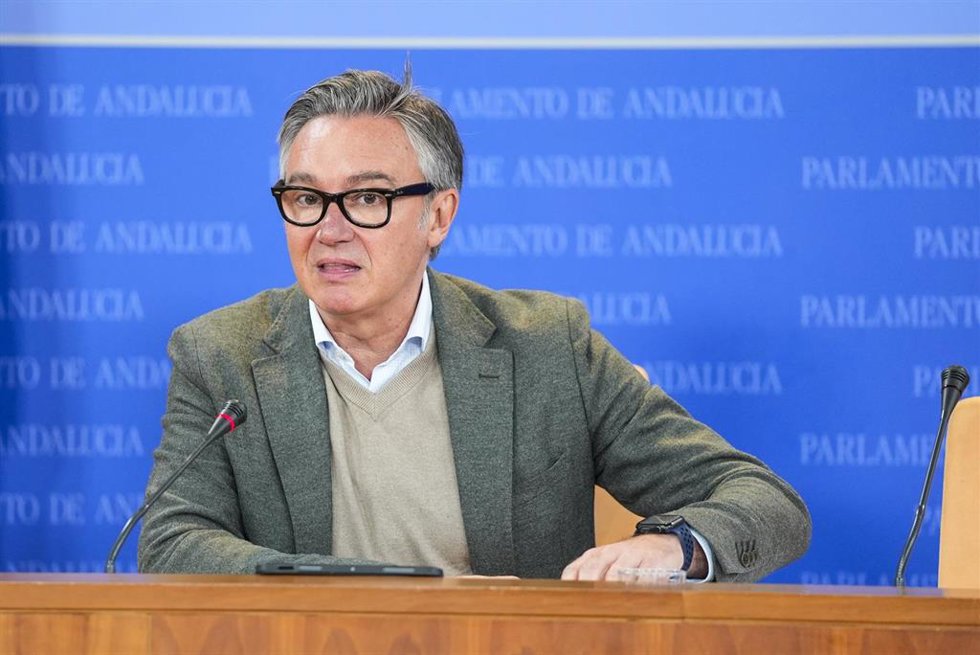 El portavoz del Grupo Parlamentario Vox, Manuel Gavira