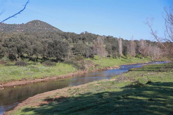 Vista general del 'Glamping' de Kampaoh y área recreativa de El Pedroso. A 20 de febrero de 2025, en El Pedroso, Sevilla (Andalucía, España).   