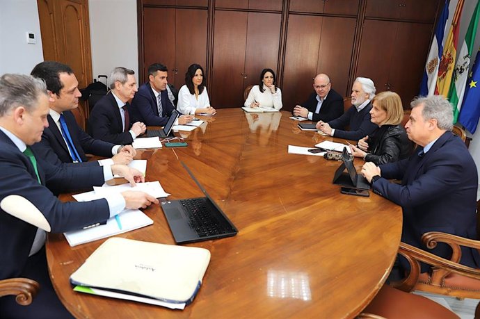 La alcaldesa de Jerez de la Frontera (Cádiz), María José García Pelayo, en una reunión con personal de Aena, empresarios de la provincia de Cádiz y miembros de su gobierno.