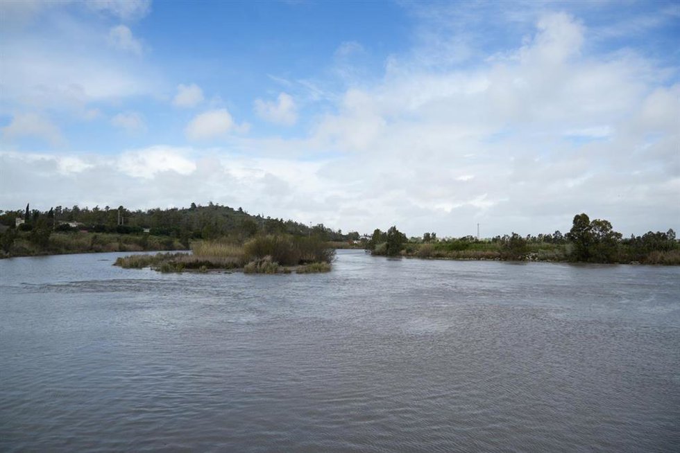 Imágenes de la crecida del río Guadalete el pasado 13 de marzo de 2025 en Jerez de la Frontera.