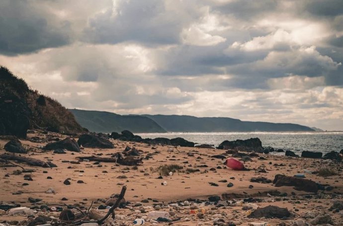 En los océanos no sólo flotan grandes cantidades de residuos plásticos que llegan a las playas de todo el mundo, sino también grandes cantidades de microplásticos.