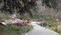 Suspenden la búsqueda del motorista arrastrado por el Genal en Pujerra (Málaga) por inclemencias meteorológicas