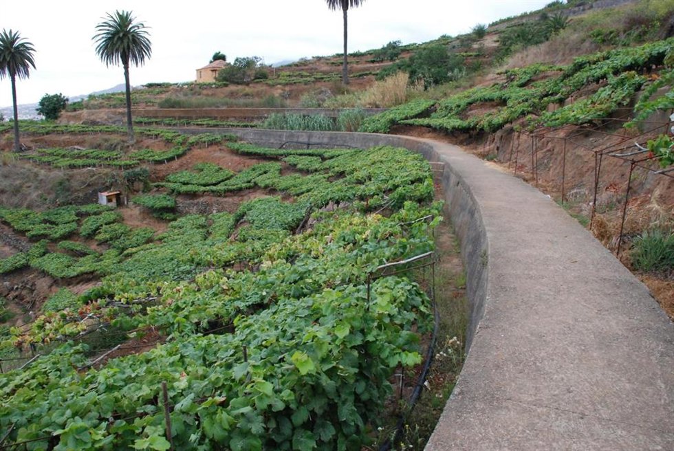 Canal del Norte de Tenerife, una infraestructura hidráulica de 39 kilómetros