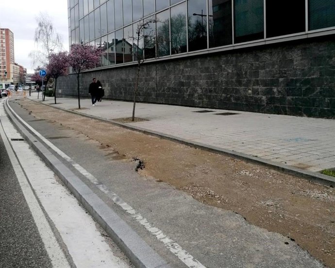 Un tramo del carril bici de Avenida de Salamanca en Valladolid