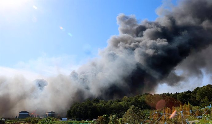 Archivo - 20 October 2024, South Korea, Incheon: Smoke rises from a fire that broke out at a factory in Incheon. Photo: -/YNA/dpa