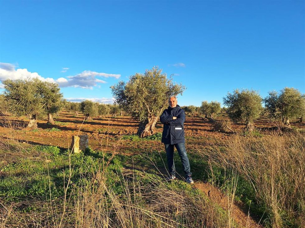 El presidente de la Asociación por la Urbanización de la Montaña, José María Belmonte, junto al campo de olivos donde está proyectada una macroplanta fotovoltaica, el 12 de febrero de 2025, en Aranjuez, Madrid.