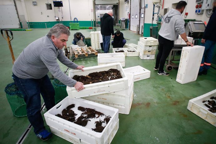 Archivo - Varias personas durante la última subasta antes de la Nochebuena, en la lonja de marisco, a 19 de diciembre de 2024, en Burela, Lugo, Galicia (España). Las subastas de marisco arrancaron este martes 17 de diciembre en la lonja de Burela, donde h