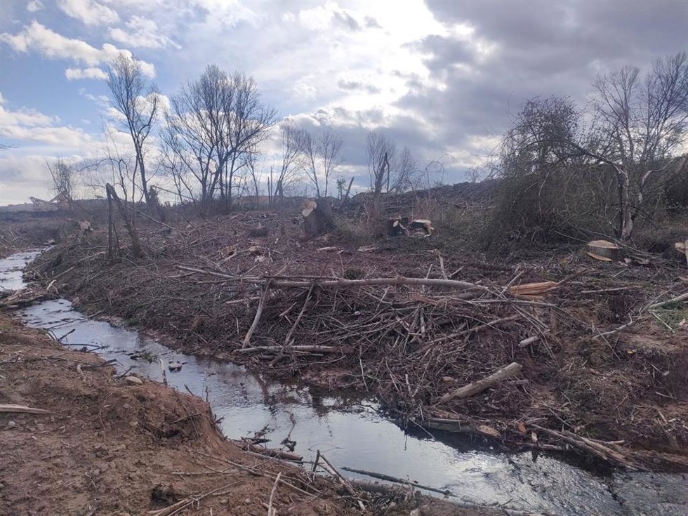 Denuncia por la tala indiscriminada en el río Yalde