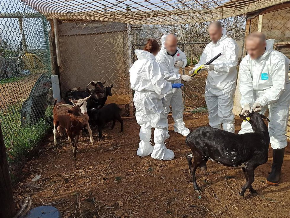 Inspecciones de la finca irregular en Constantí (Tarragona)