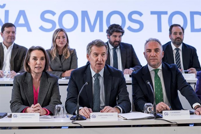 Archivo - El presidente del PP, Alberto Núñez Feijóo, en una reunión con la ejecutiva del PP.