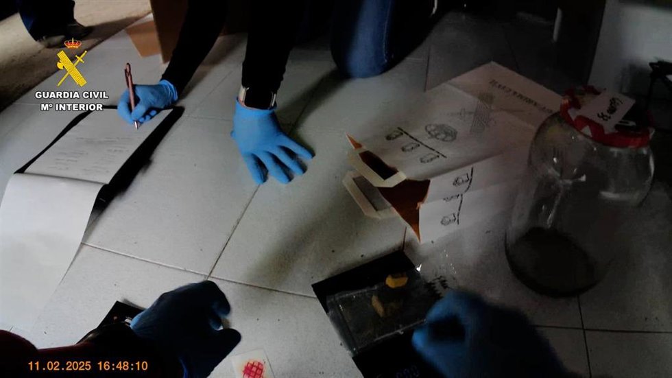 Agentes trabajan en la operación Grow Shops