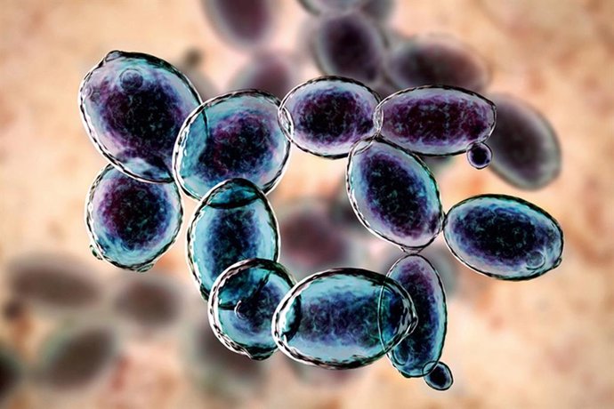 Beneficios de los microorganismos para obtener energía